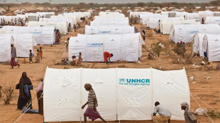 UNHCR: Kenya hivi sasa ina wakimbizi 775,000 kutoka zaidi ya nchi 20 tofauti