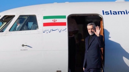 Irans Interims-Außenminister nimmt an D-8-Treffen zu Gaza teil