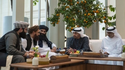 سراج‌الدین حقانی با امیر امارات متحده عربی در ابوظبی دیدار کرد