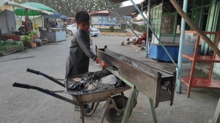 کودکان کار، قربانی‌ فقر و بیکاری در تخار