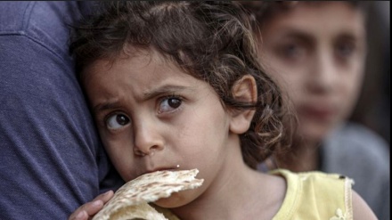 Регистрация более 200 тысяч случаев недоедания среди детей Газы