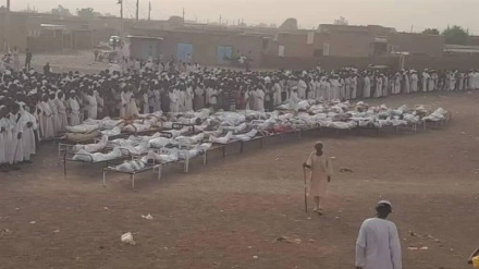 Рост числа погибших в конфликтах в Судане