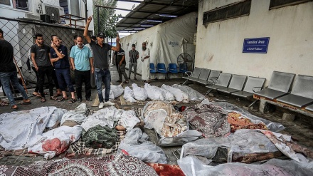    جنایت جدید اشغالگران در غزه/ ده‌ها شهید و زخمی براثر بمباران یک مدرسه