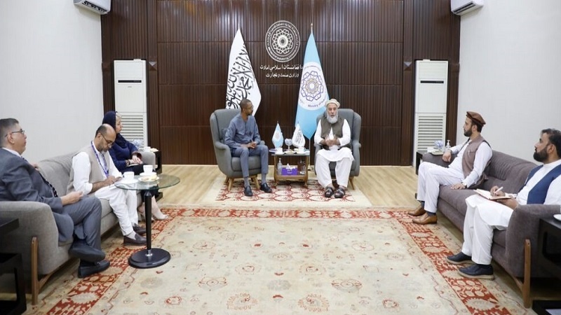 اعلام آمادگی برنامه توسعه ملل متحد برای همکاری با وزارت صنعت و تجارت طالبان