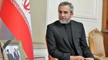 باقری: ایران از ابتکارهای سازنده منجر به صلح و ثبات در افغانستان حمایت می کند