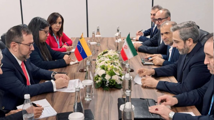 Акцент властей Ирана и Венесуэлы  на необходимости преследования преступлений Израиля на международных форумах и форумах по правам человека.