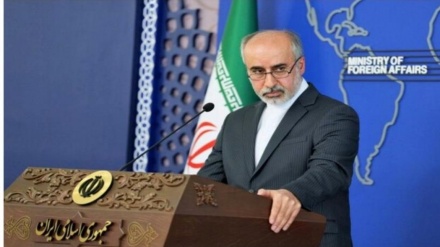 Sahte insan hakları savunucuları, Siyonist çocuk katillerinin suç ortakları