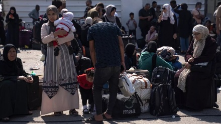 יותר מ-115,000 פלסטינים חצו את הגבול למצרים מאז אוקטובר