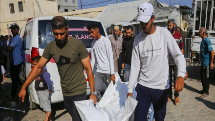 Hamas'tan Filistinli doktorun işgal rejiminin zindanında şehadetine tepki