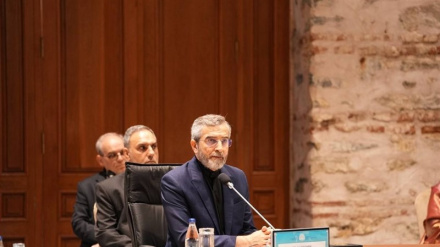 Sababu za umuhimu wa kikao cha D-8 mjini Istanbul kuhusu vita vya Gaza