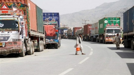 شکایت بازرگانان افغان از مشکل در روند صادرات میوه تازه به پاکستان