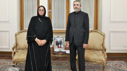 Глубокие и сердечные связи между иранским и боснийским народами являются неоспоримым фактом