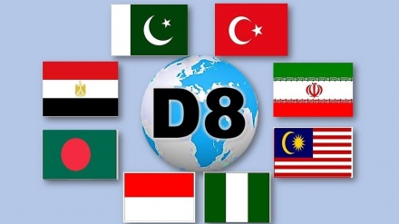 Außerordentliche D-8-Sitzung zu Gaza-Krieg in Istanbul