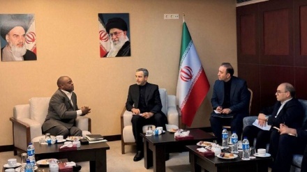 Акцент Ирана на необходимости играть активную и инновационную роль группы D-8