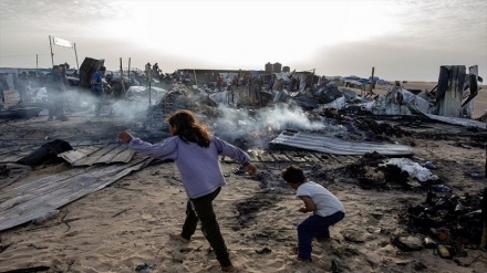 استقبال طالبان از قطعنامه آتش‌بس در غزه؛ گامی ابتدایی برای پایان نسل‌کشی 
