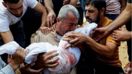 Осуждение убийства более 500 палестинцев в результате атак сионистского режима на Западный Берег