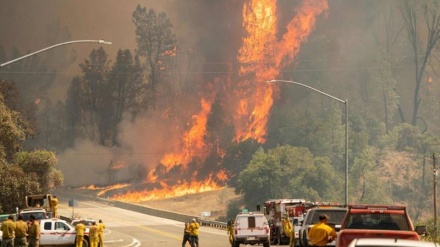 Zjarr masiv pranë qytetit Los Angeles/Evakuohen 1200 banorë