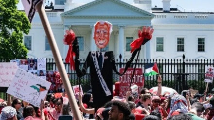 Демонстрации в поддержку Палестины проходят в разных городах мира