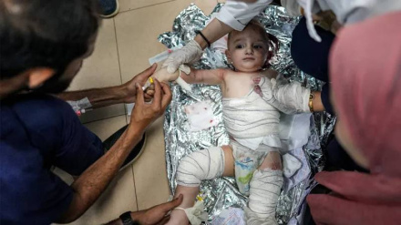 Martirizohen 15 palestinezë në sulmet e regjimit sionist në qendër të Gazës