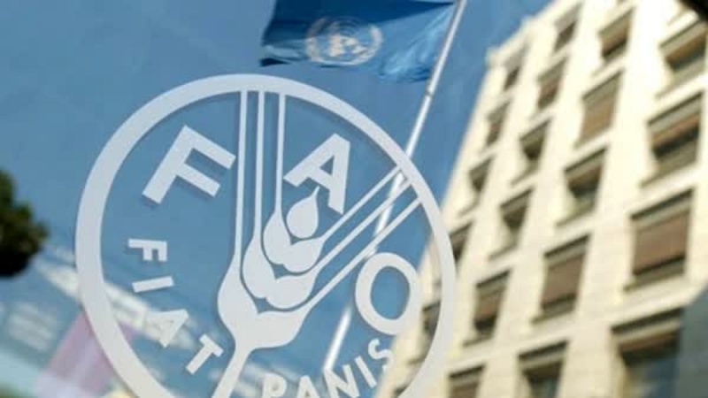 FAO: Iran kuzalisha zaidi ya tani milioni 20 za nafaka 