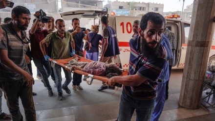 গাজায় ইসরাইলি গণহত্যায় শহীদের সংখ্যা ৩৯ হাজার ছাড়াল