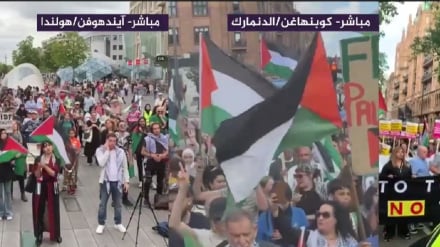 Գազայի հատվածում Իսրայելի կողմից իրականացվող ցեղասպանության դեմ համաշխարհային ցույցեր են անցկացվել
