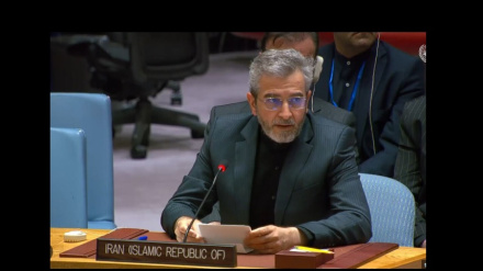 Baqiri İranın nüvə danışıqlarında Amerikanın yanaşmalarını və İsrailin Qəzzaya hücumunu tənqid edib