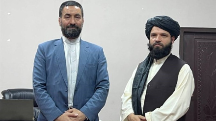 د فلسطین له ولسه دافغانستان د طالبانو دحکومت د ملاتړ قدرونه کوو