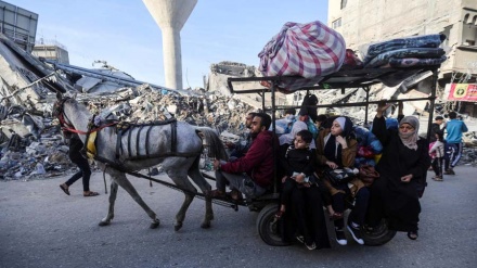Kombet e Bashkuara:  9 nga 10 banorë të Gazës kanë përjetuar shpërngulje të paktën një herë


