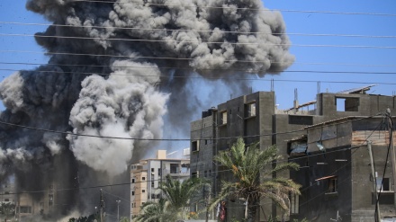 ইসরাইলের অব্যাহত গণহত্যা: গাজায় আরও ৩৭ শহীদ