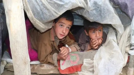 په افغانستان کې د ماشومان پر وضعیت د یونیسف اندېښنه