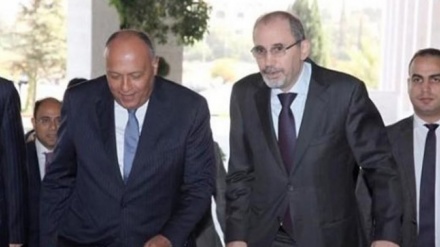 שרי החוץ של ירדן ומצרים דנו בתוקפנות הישראלית בעזה