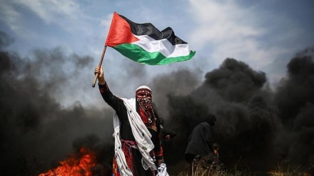 Reagimi i grupeve palestineze ndaj deklaratave të ministrit të Jashtëm saudit për Gazën