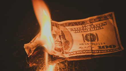 Dünyada dolarizasyonun ivmesine bir bakış