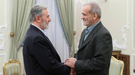 Փեզեշքյանը Պաղեստինի և Լիբանանի Դիմադրության պաշտոնյաների հետ հանդիպմանն ասել է. Իրանի դիրքորոշումը ճնշվածներին պաշտպանելու հարցում չի փոխվելու
