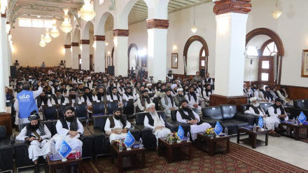 د سرپرست حکومت له لورې د کار او ټولنیزو چارو وزارت د کارګرانو ملي کنفرانس جوړ شو