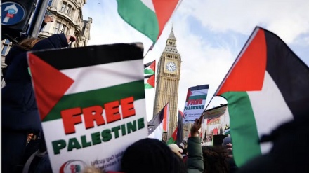 Марш в поддержку Палестины в городах Европы