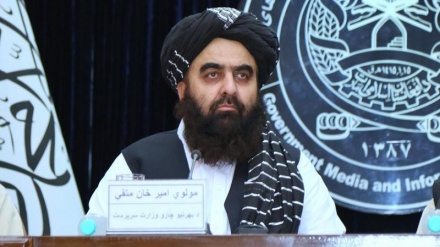 شاهین: شرکت نکردن متقی در نشست دوحه تصمیم «رهبر طالبان» بود