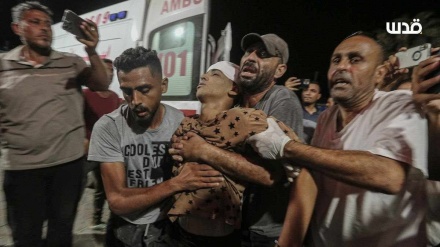 গাজার তাল আল-হাওয়ায় ভয়াবহ গণহত্যা: ৬০ নারী ও শিশুর গলিত লাশ উদ্ধার