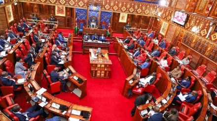 Maseneta wa Kenya wamgomea Rais Ruto mpango wa kupunguza matumizi ya serikali