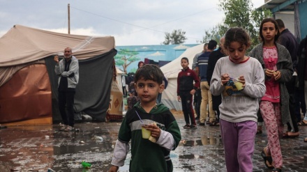 OBSH konfirmon virusin e poliomielitit në Gaza