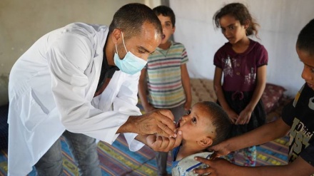 Dërgohen një milion doza vaksine poliomieliti në Gaza