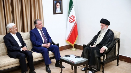 革命最高领袖对塔吉克斯坦总统推广波斯语的措施表示赞赏