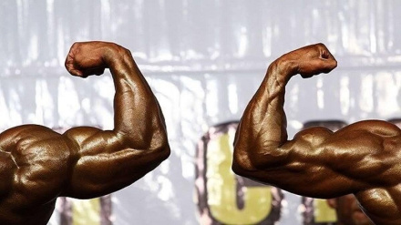 Парвариши андоми қаҳрамонии Осиё: рузи ба ёдмондании Эрон бо касби 17 нишони рангоранг