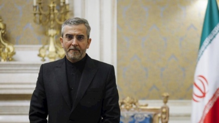 伊朗代理外交部长巴盖里：美国继续侵犯伊朗民族的人权 