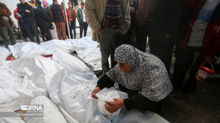 Numri i të vdekurve në Gaza rritet në 38 mijë e 664 persona