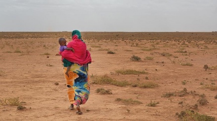 Pendekezo jipya la mfuko wa uwezeshaji laleta matumaini kwa wanawake wajane Afrika