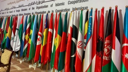 56 מדינות אסלאמיות מייבאות סחורות מאיראן בשווי 8.6 מיליארד דולר