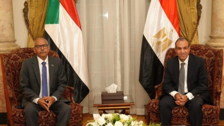 Sudan na Misri zasisitiza msimamo wao kuhusu Bwawa la al-Nahdha