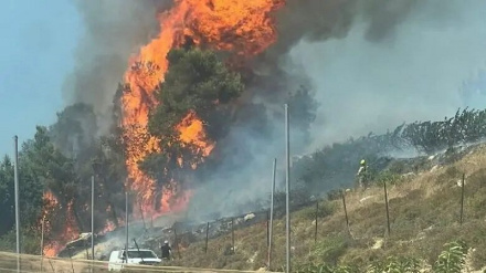 Siyonist yerleşimciler Ramallah'ta Filistin topraklarını ateşe verdi